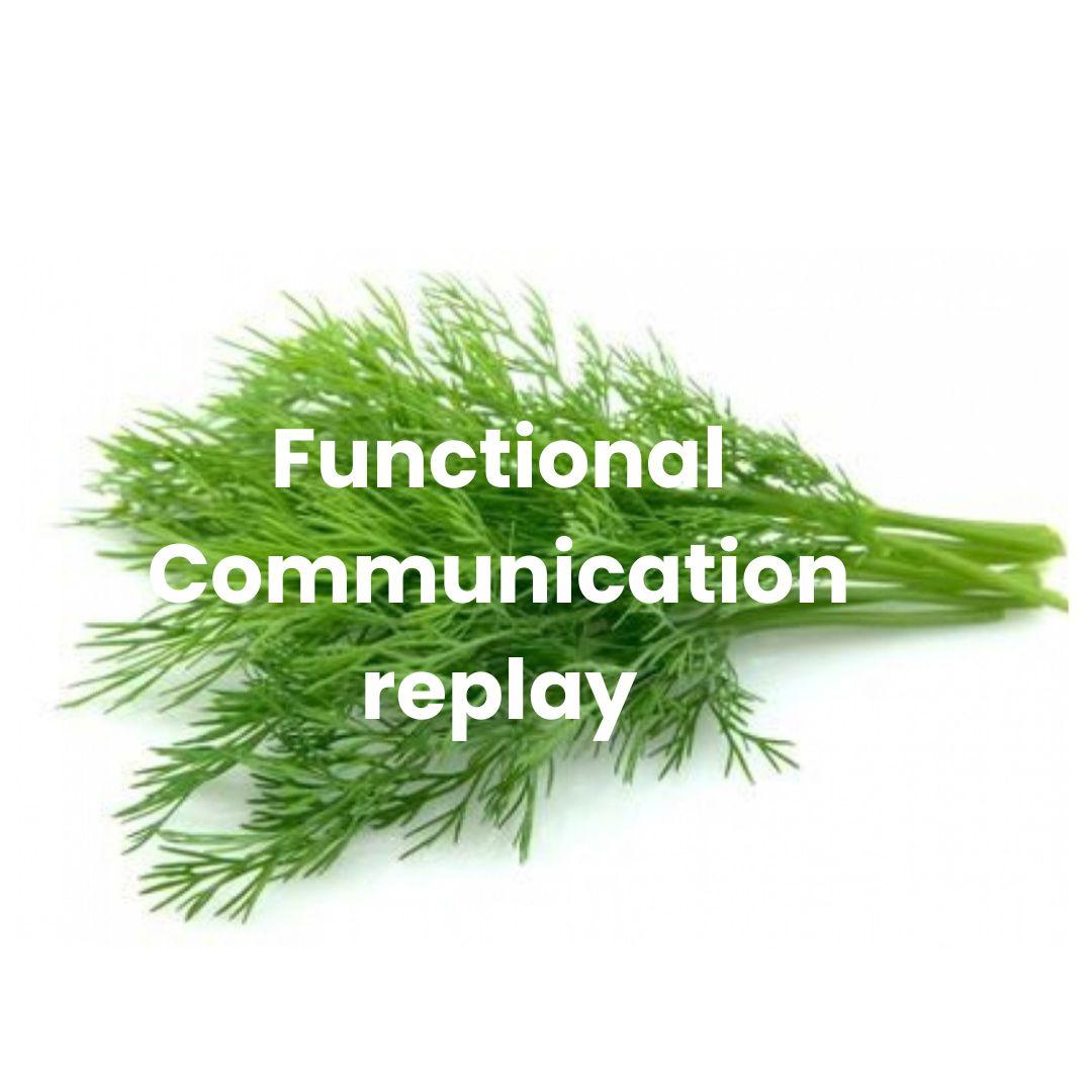 Functional Communication Replay